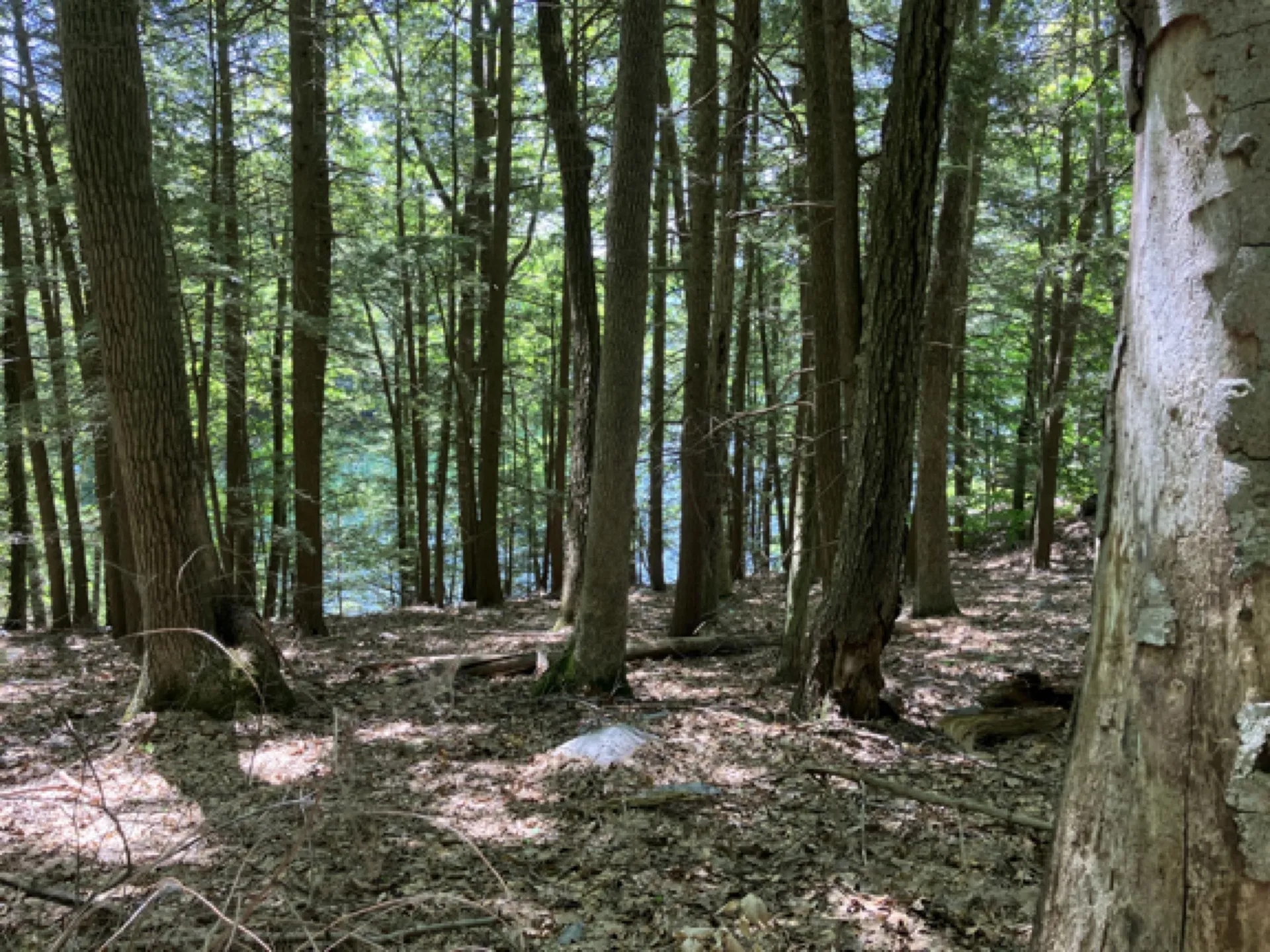 Tbd Isthmus Drive Leicester VT 05733