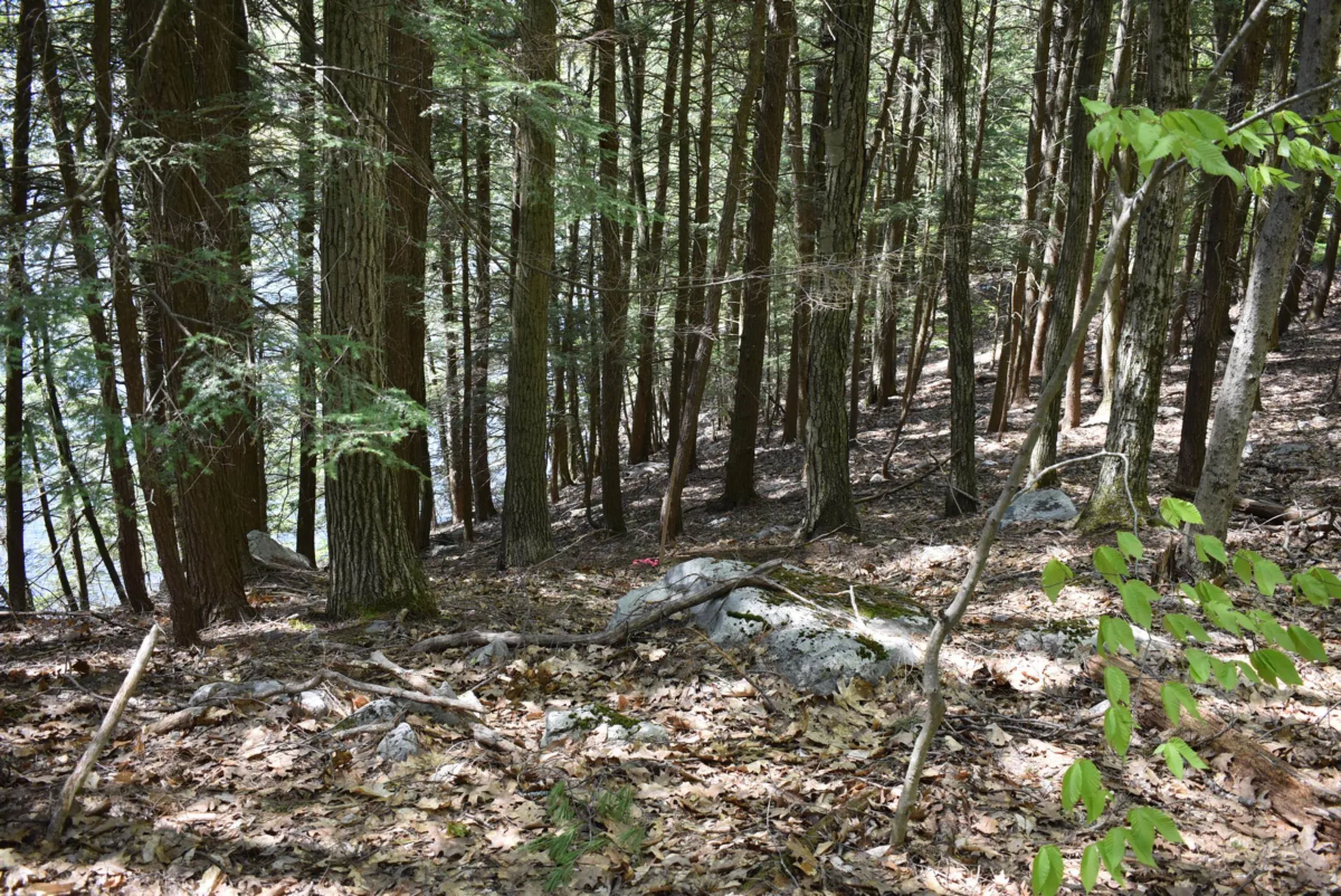 Tbd Isthmus Drive Leicester VT 05733