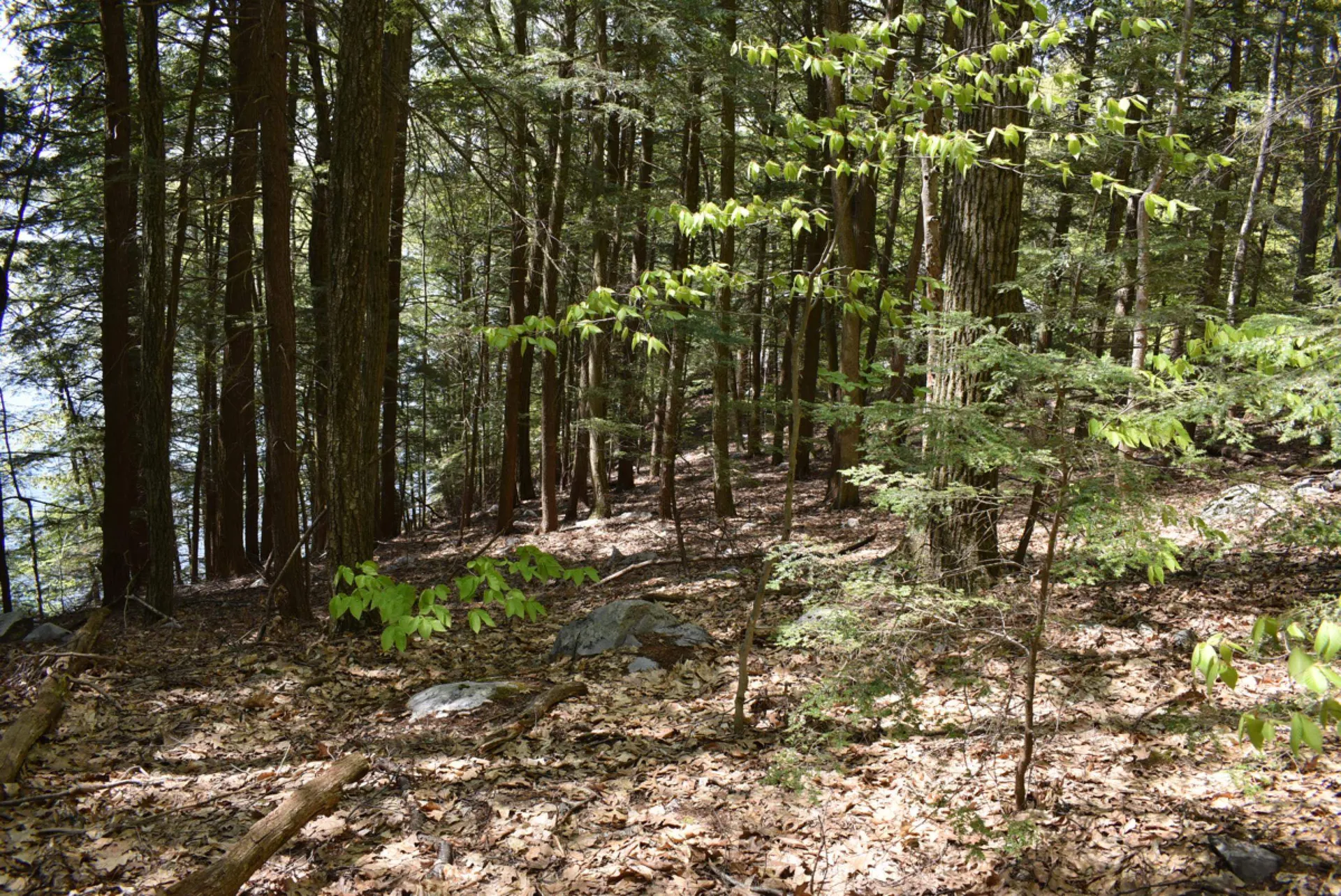 Tbd Isthmus Drive Leicester VT 05733