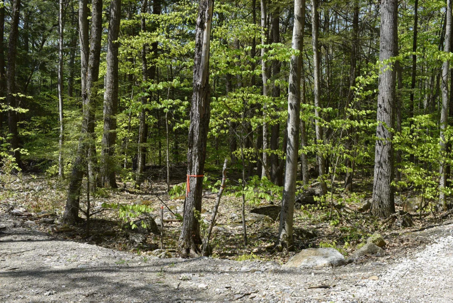 Tbd Isthmus Drive Leicester VT 05733