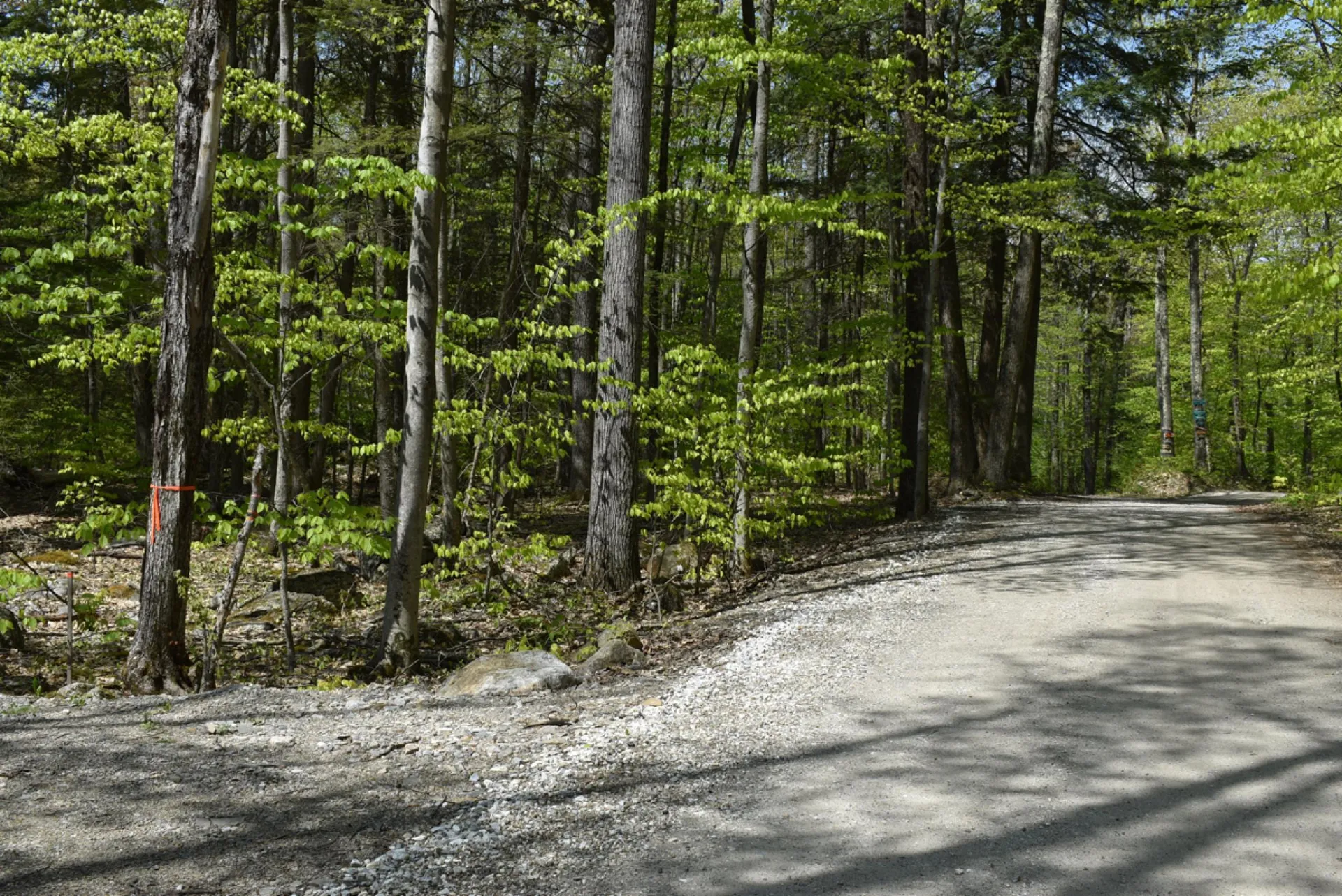 Tbd Isthmus Drive Leicester VT 05733