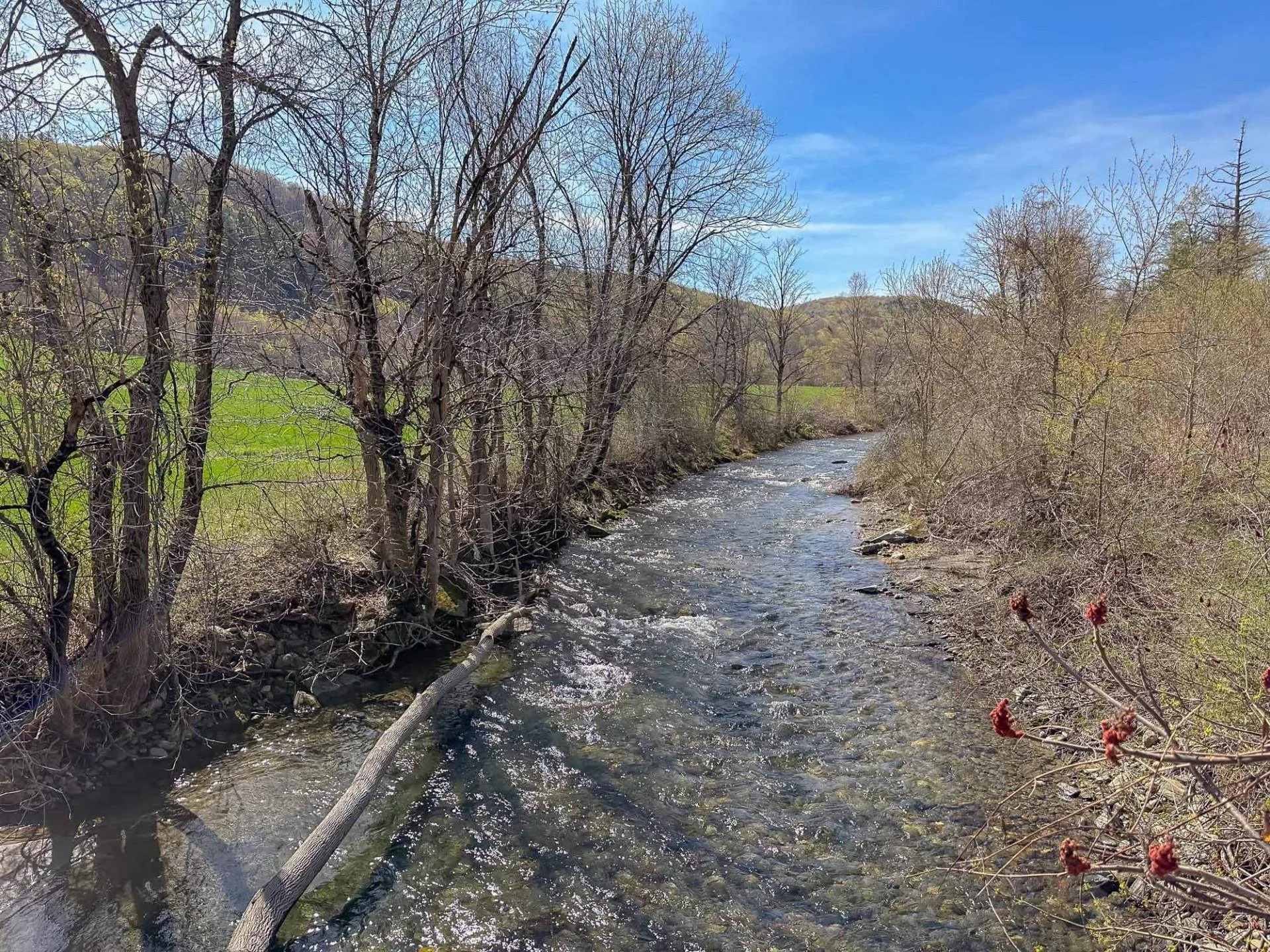 10024 Vt Route 12 Bethel VT 05032