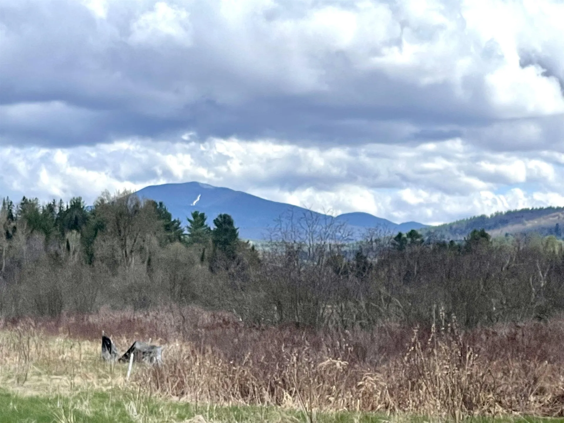 0 White Road Dalton NH 03598