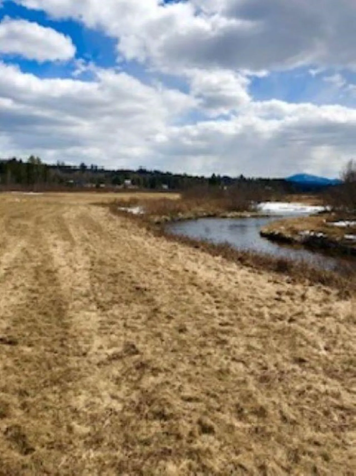 0 White Road Dalton NH 03598