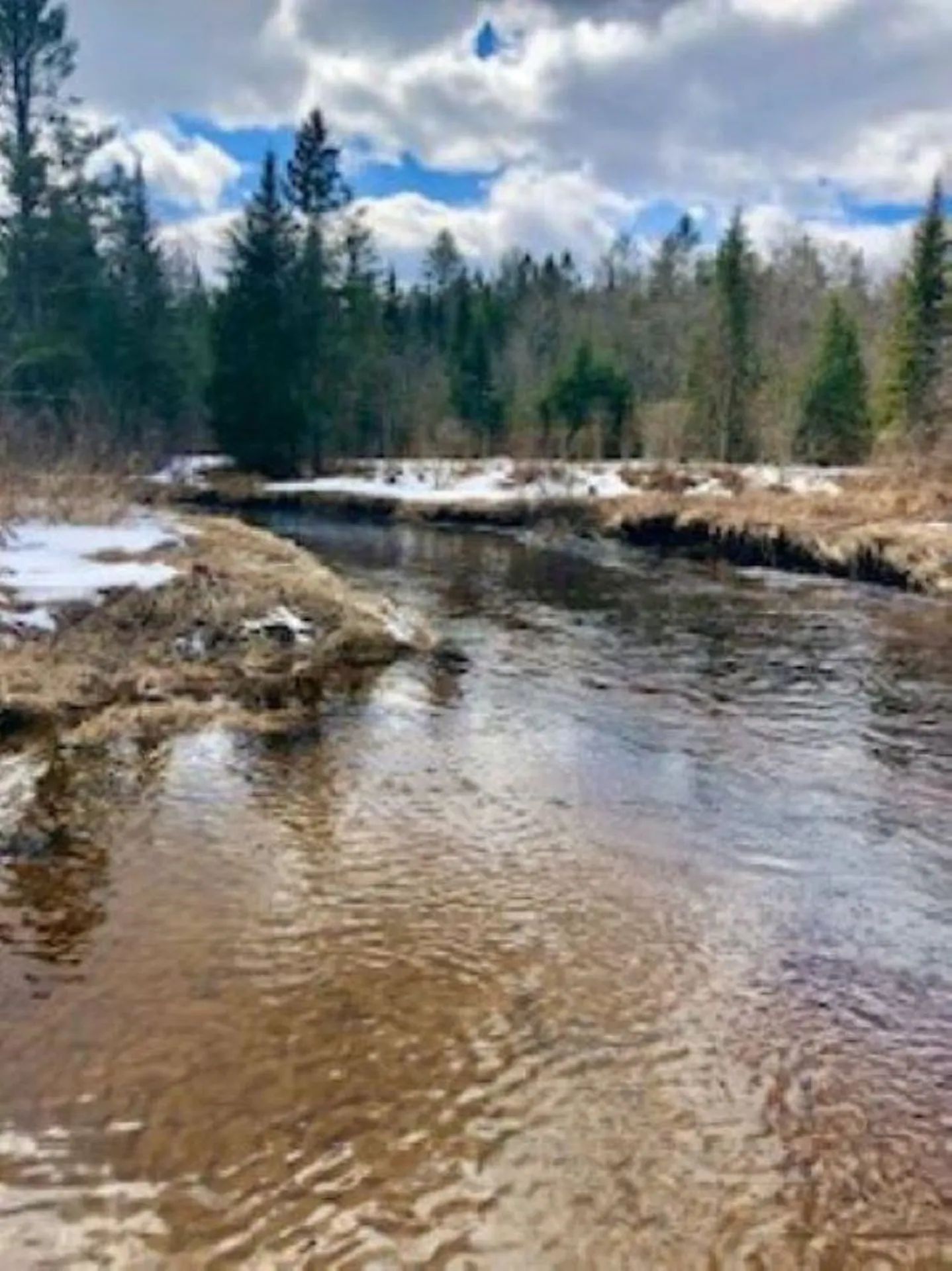 0 White Road Dalton NH 03598