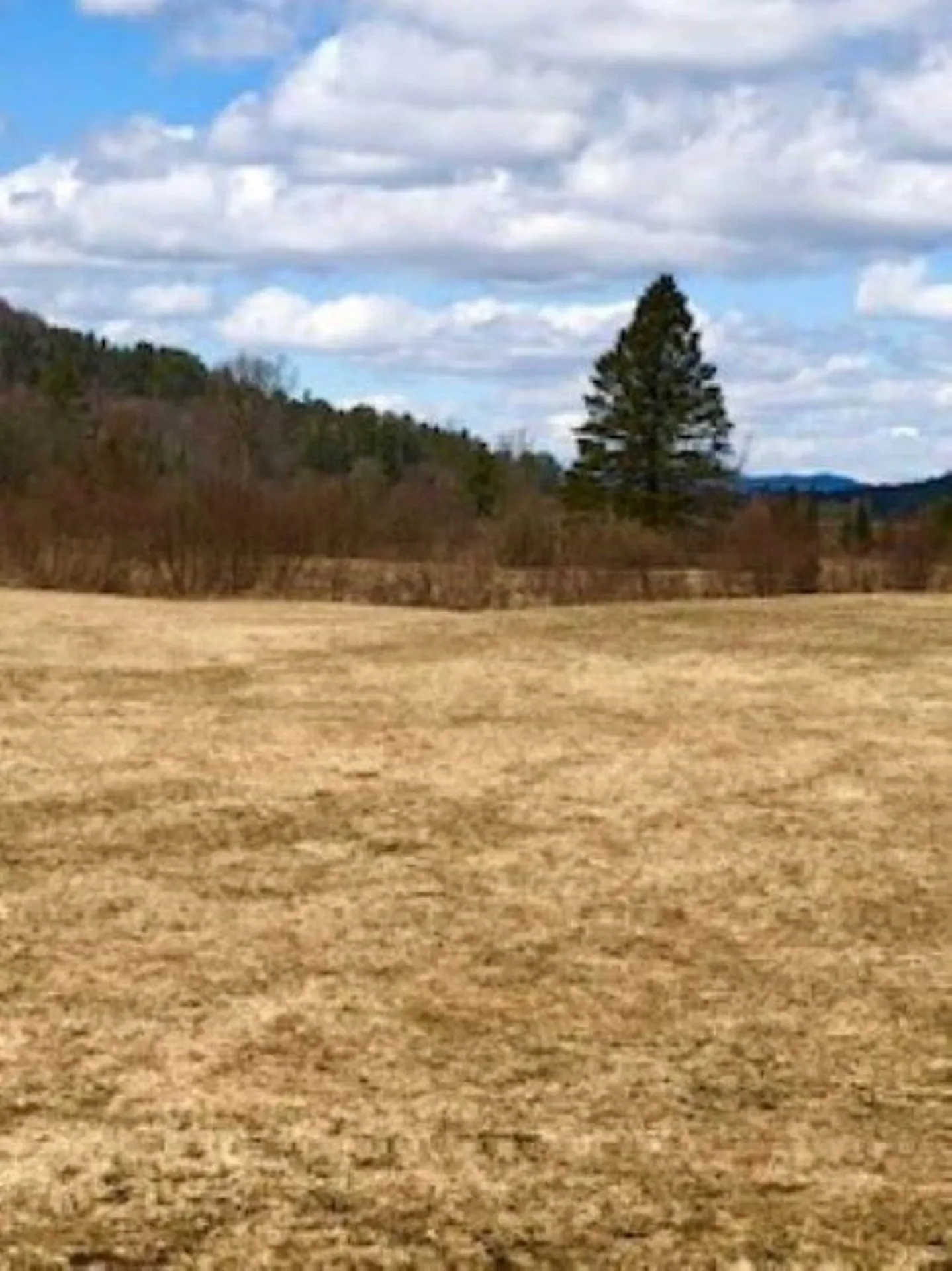 0 White Road Dalton NH 03598