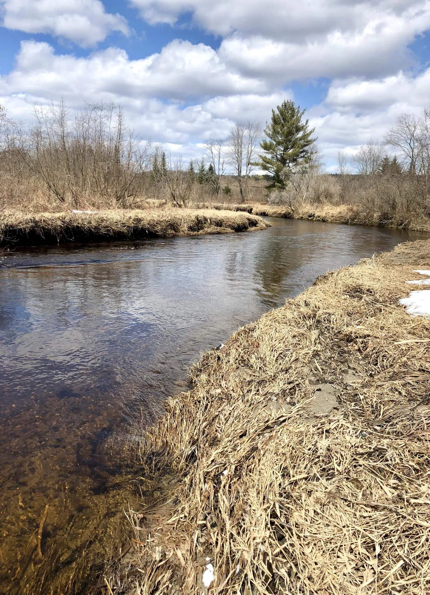 0 White Road Dalton NH 03598