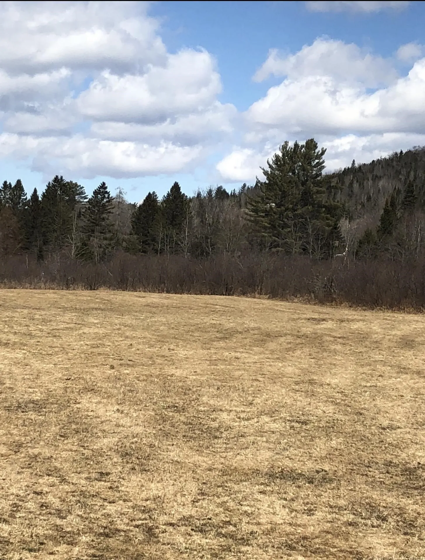 0 White Road Dalton NH 03598