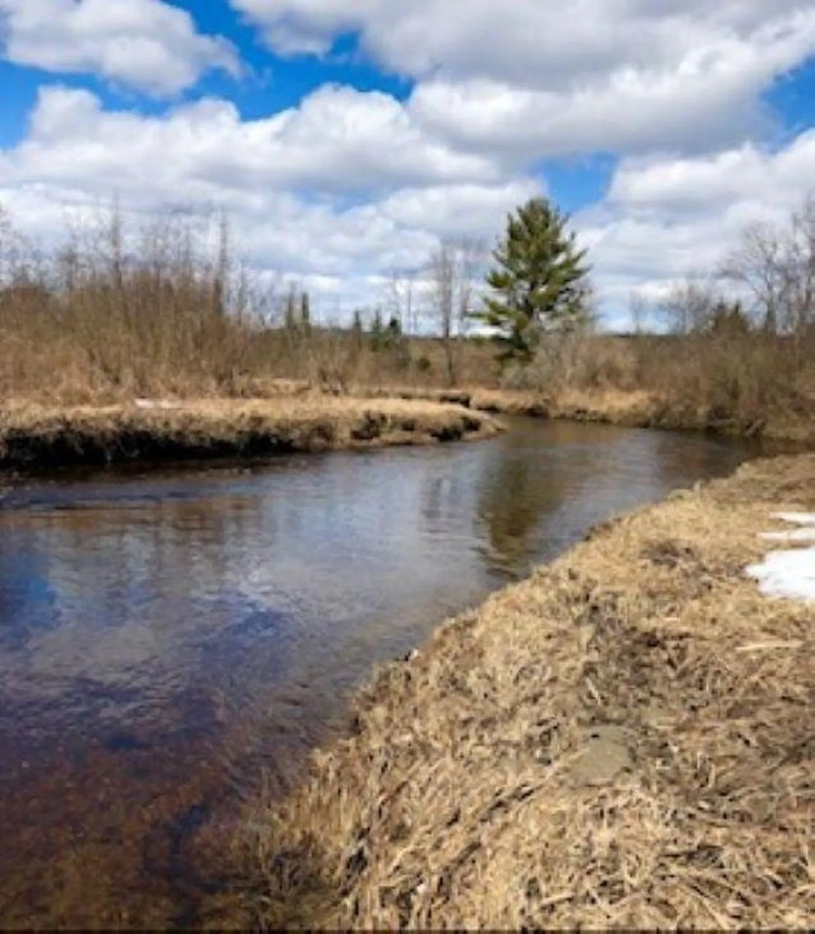 0 White Road Dalton NH 03598