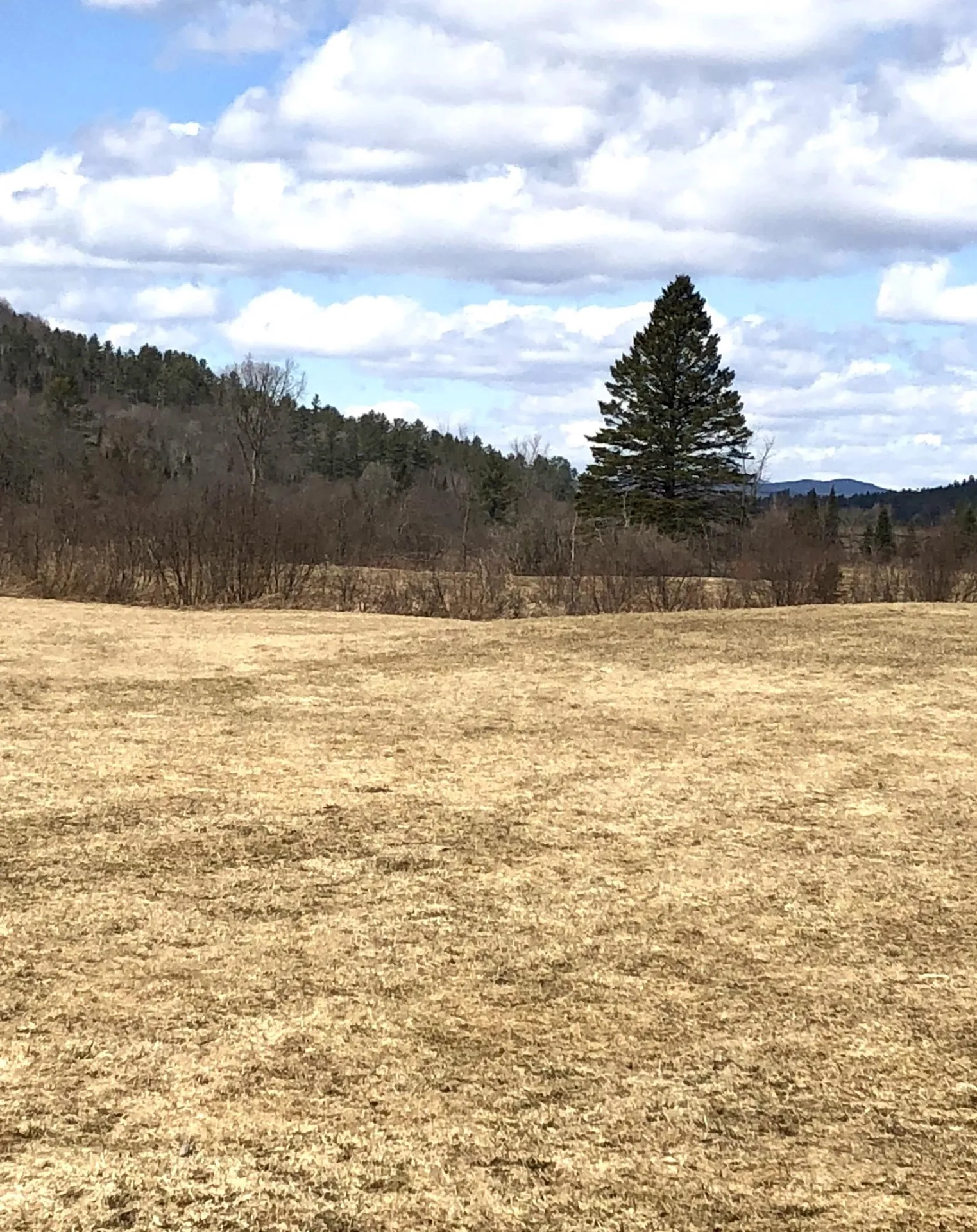 0 White Road Dalton NH 03598