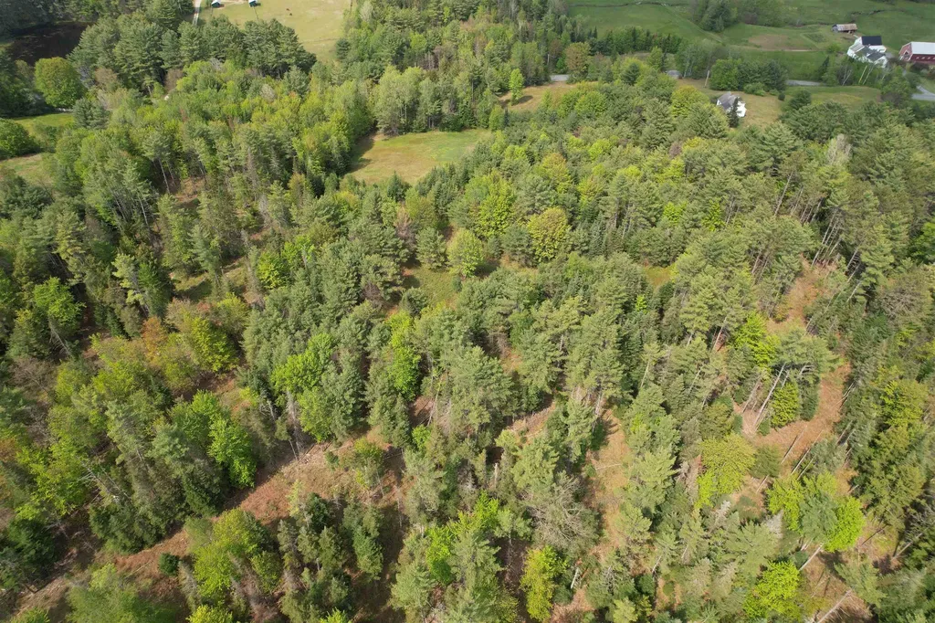 3886 Scotch Hollow Road Newbury VT 05051