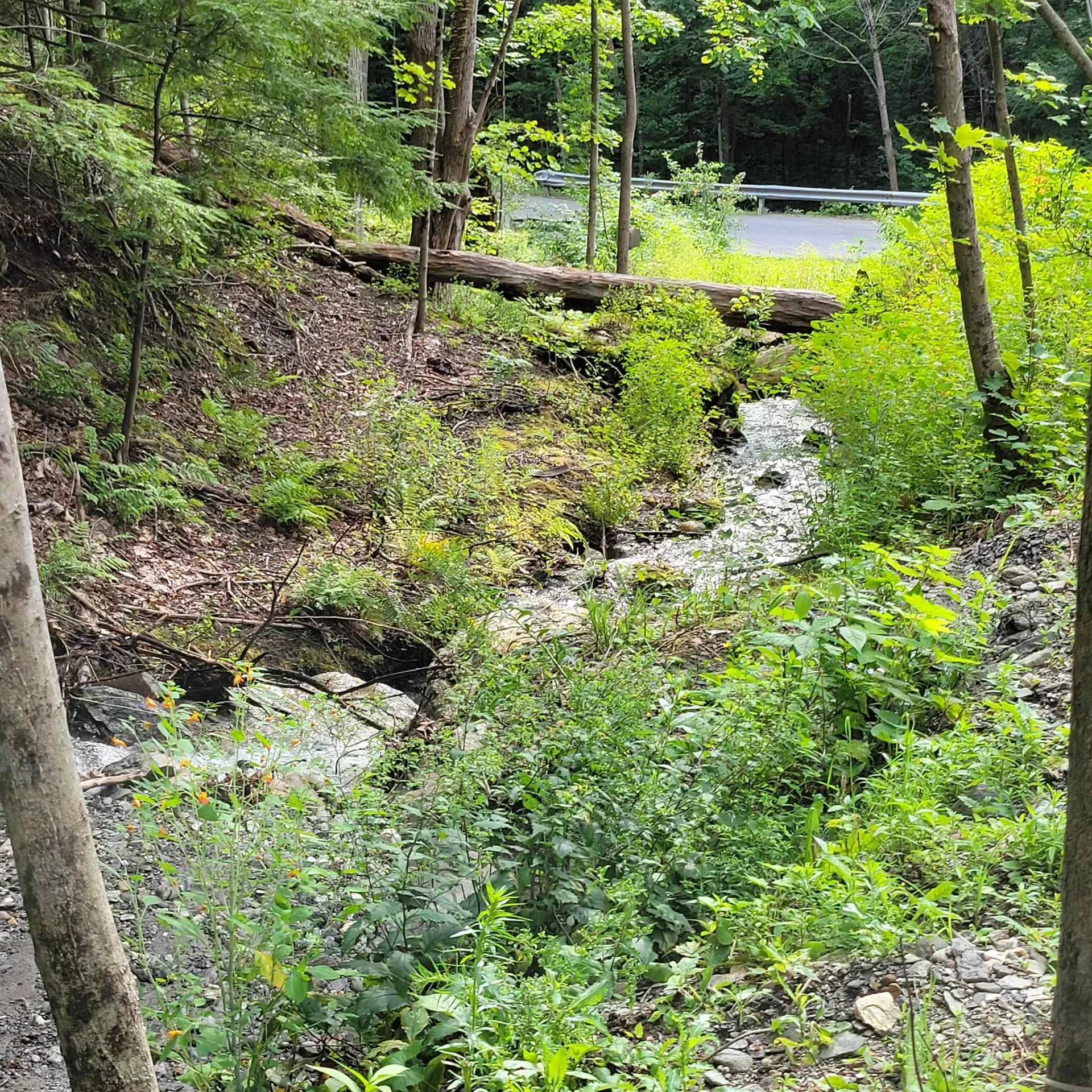 140 Slab City Road Claremont NH 03743