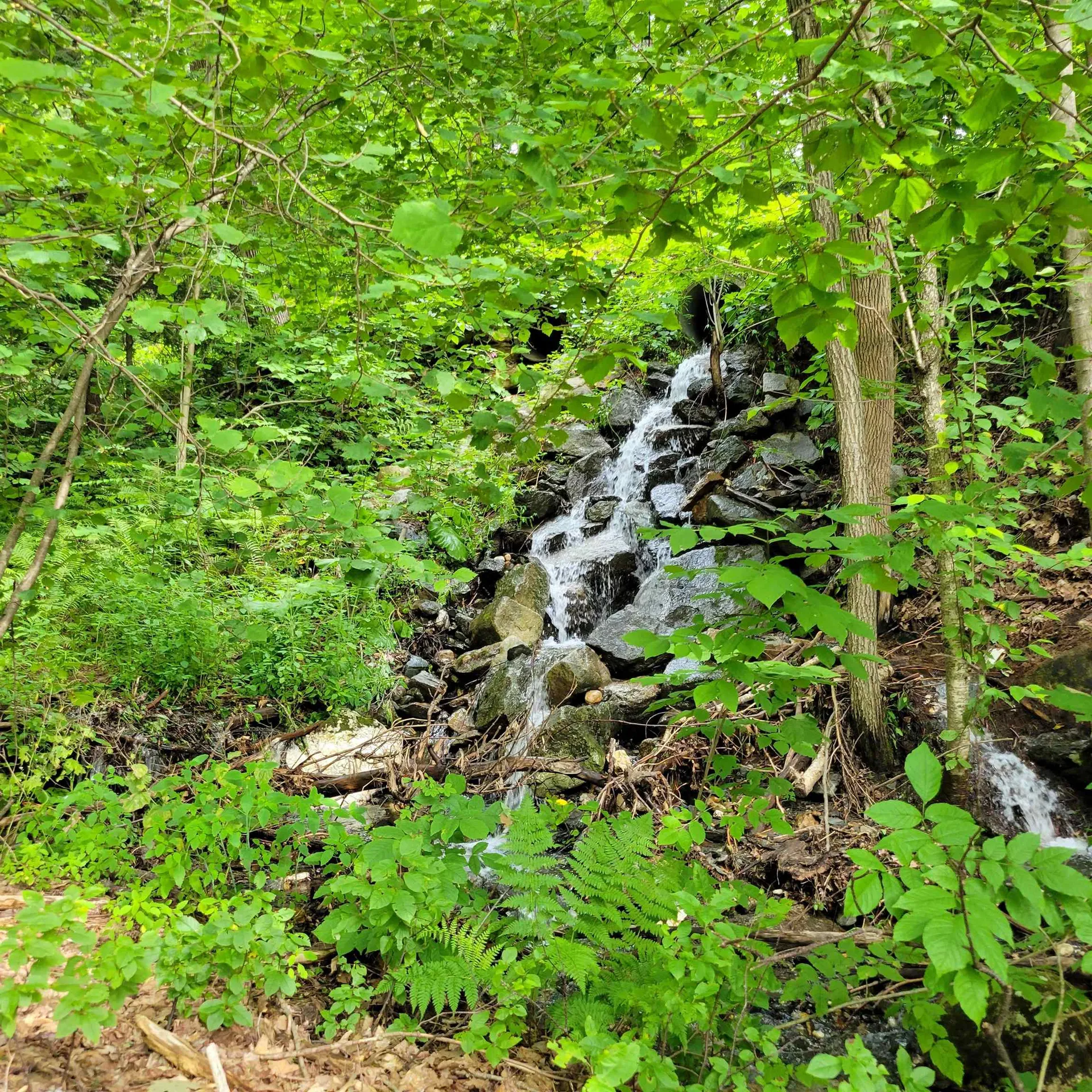 140 Slab City Road Claremont NH 03743