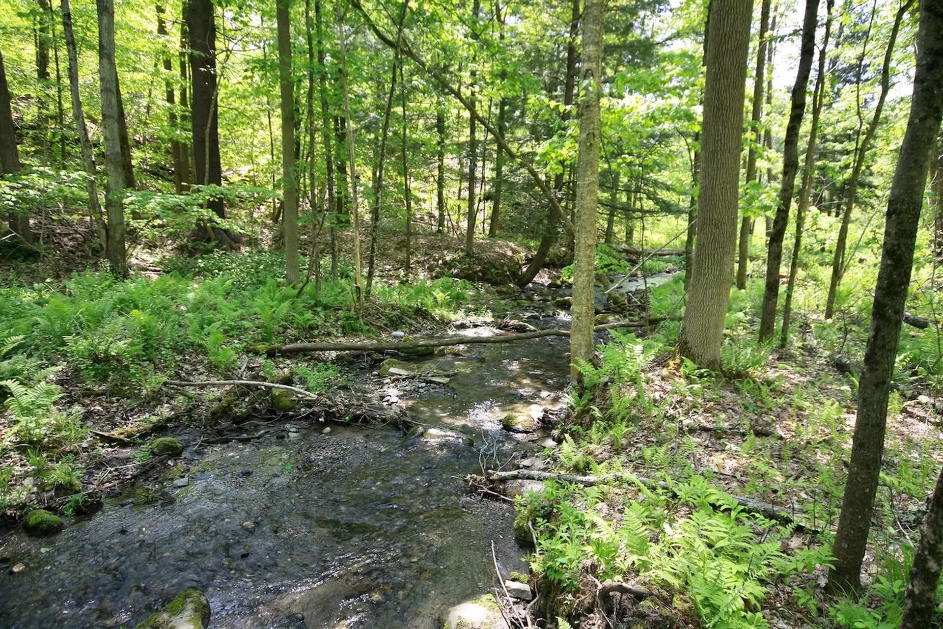 808 Jericho Road Hartford VT 05001