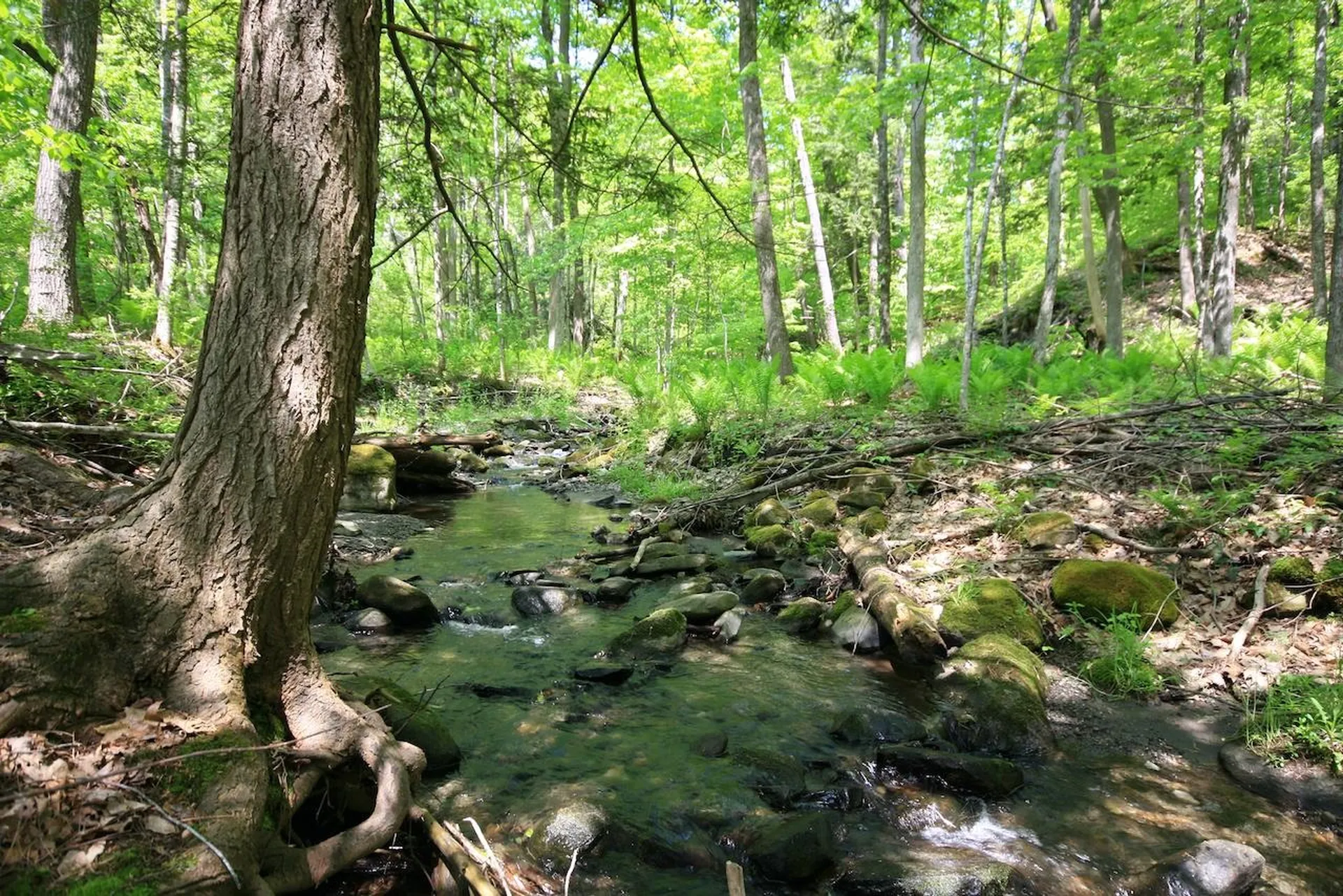 808 Jericho Road Hartford VT 05001