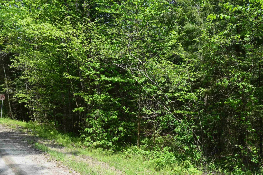 Lot 40 Rogers Road Haverhill NH 03765