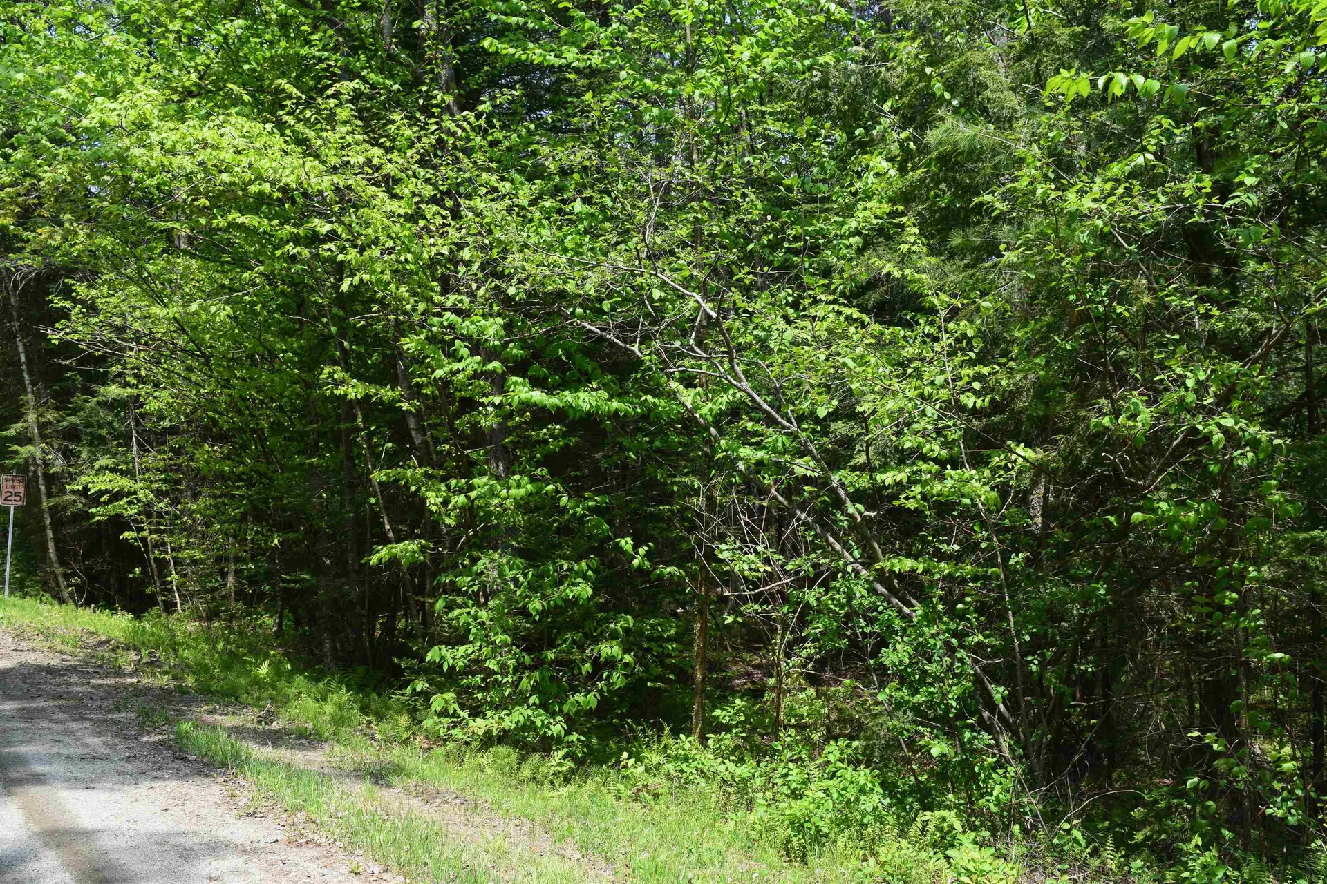 Lot 40 Rogers Road Haverhill NH 03765