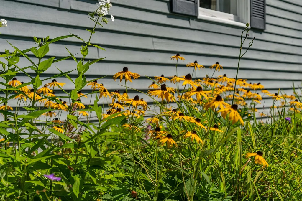 1214 Gulf Road Barnard VT 05031