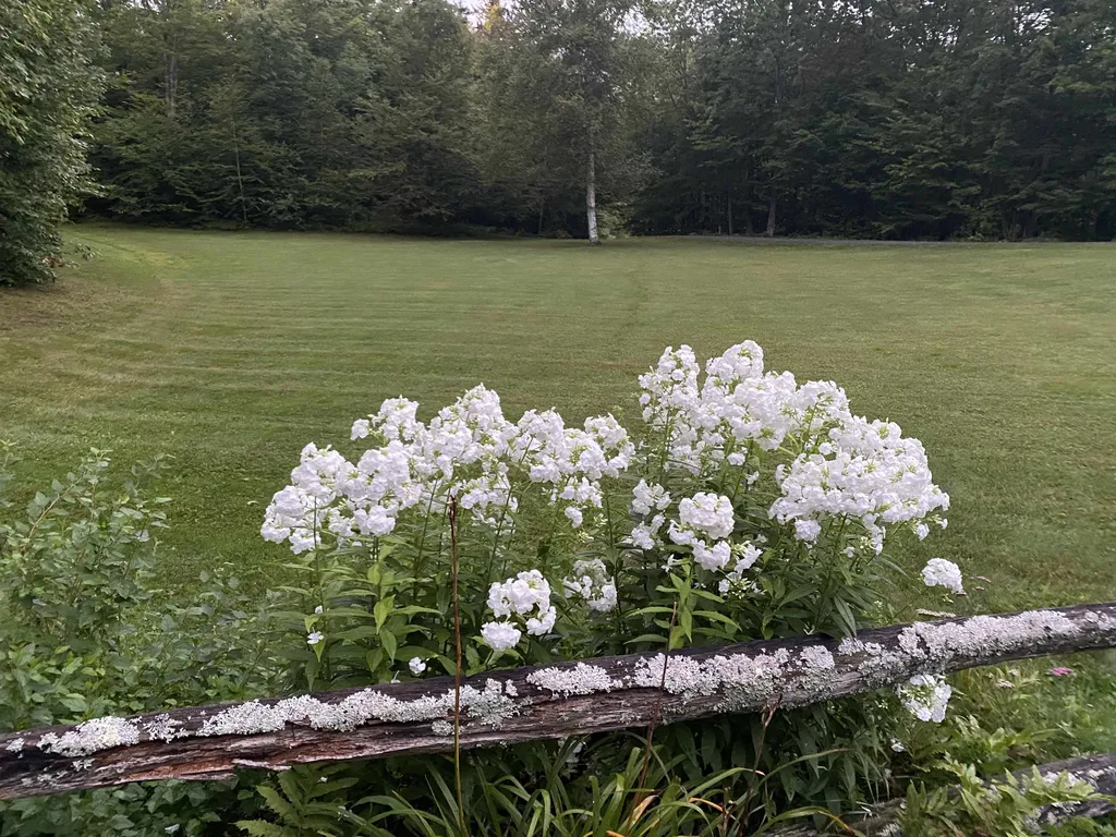 1214 Gulf Road Barnard VT 05031