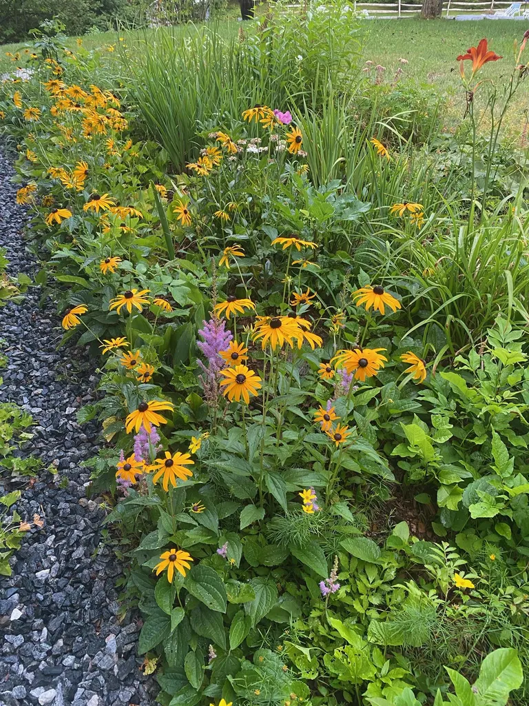 1214 Gulf Road Barnard VT 05031