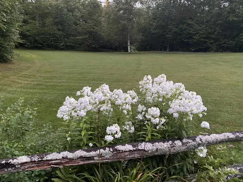1214 Gulf Road Barnard VT 05031