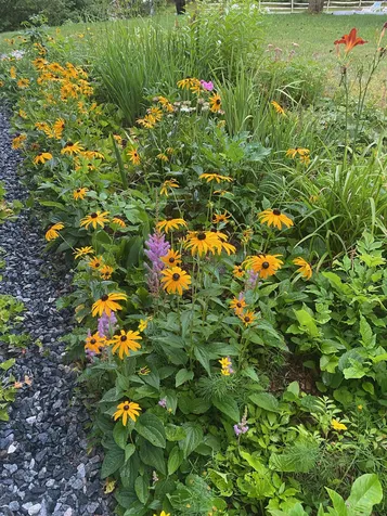1214 Gulf Road Barnard VT 05031