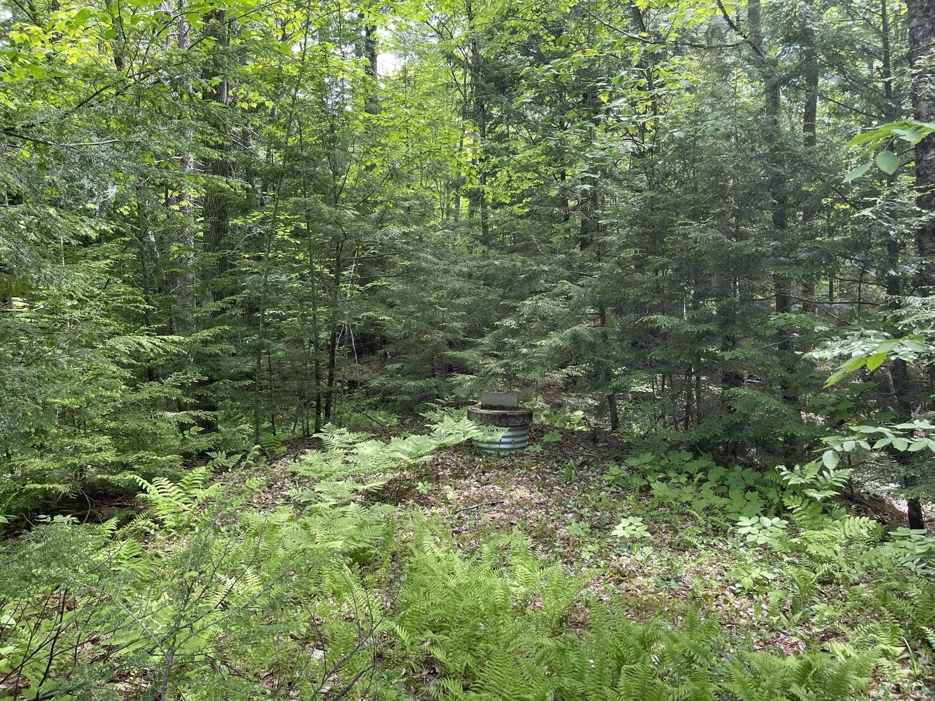 84 Wolfeboro Road Hanover NH 03755