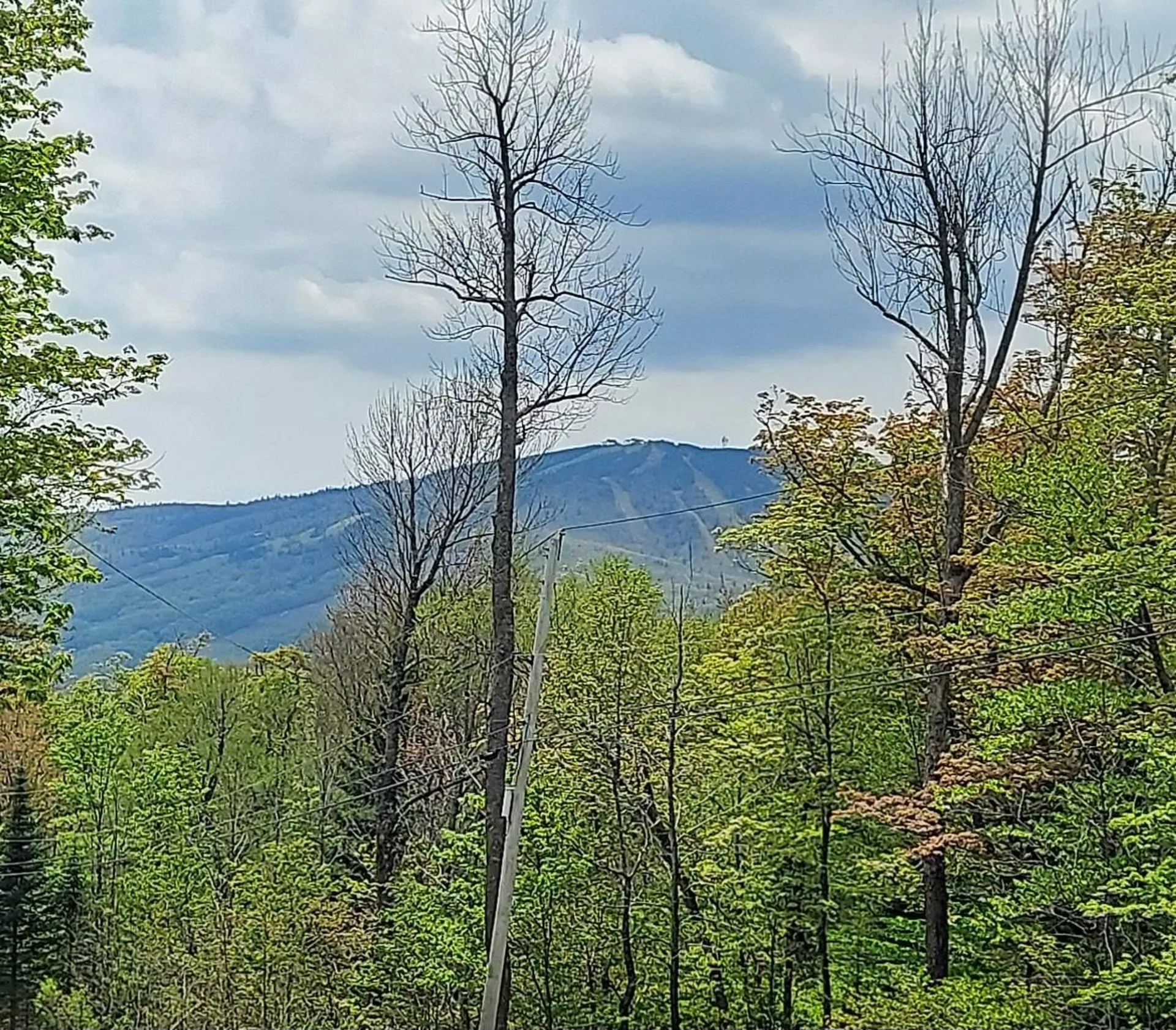 678 Route 100 Stratton VT 05360