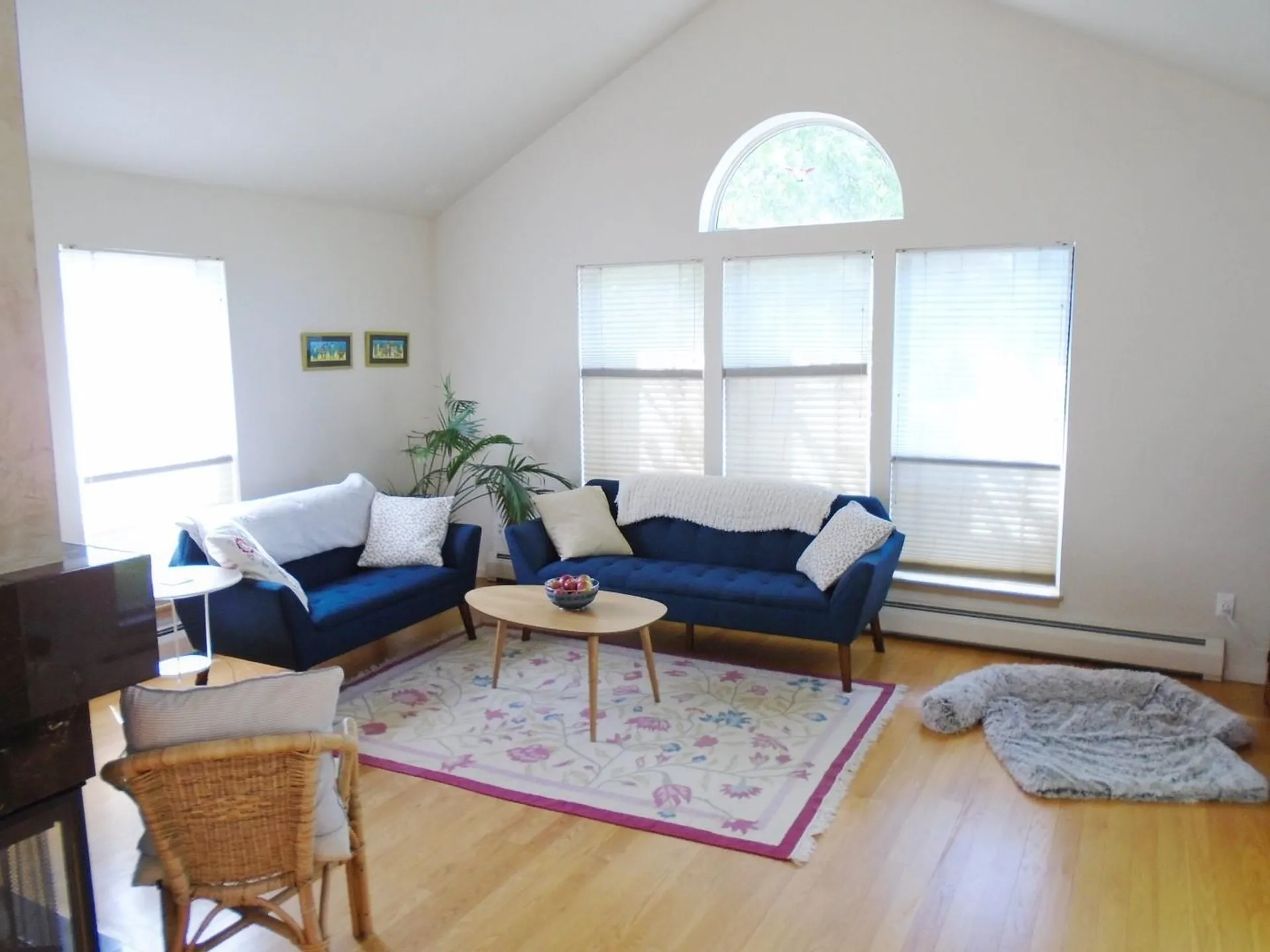 10 Blue Star Lane South Burlington VT 05403