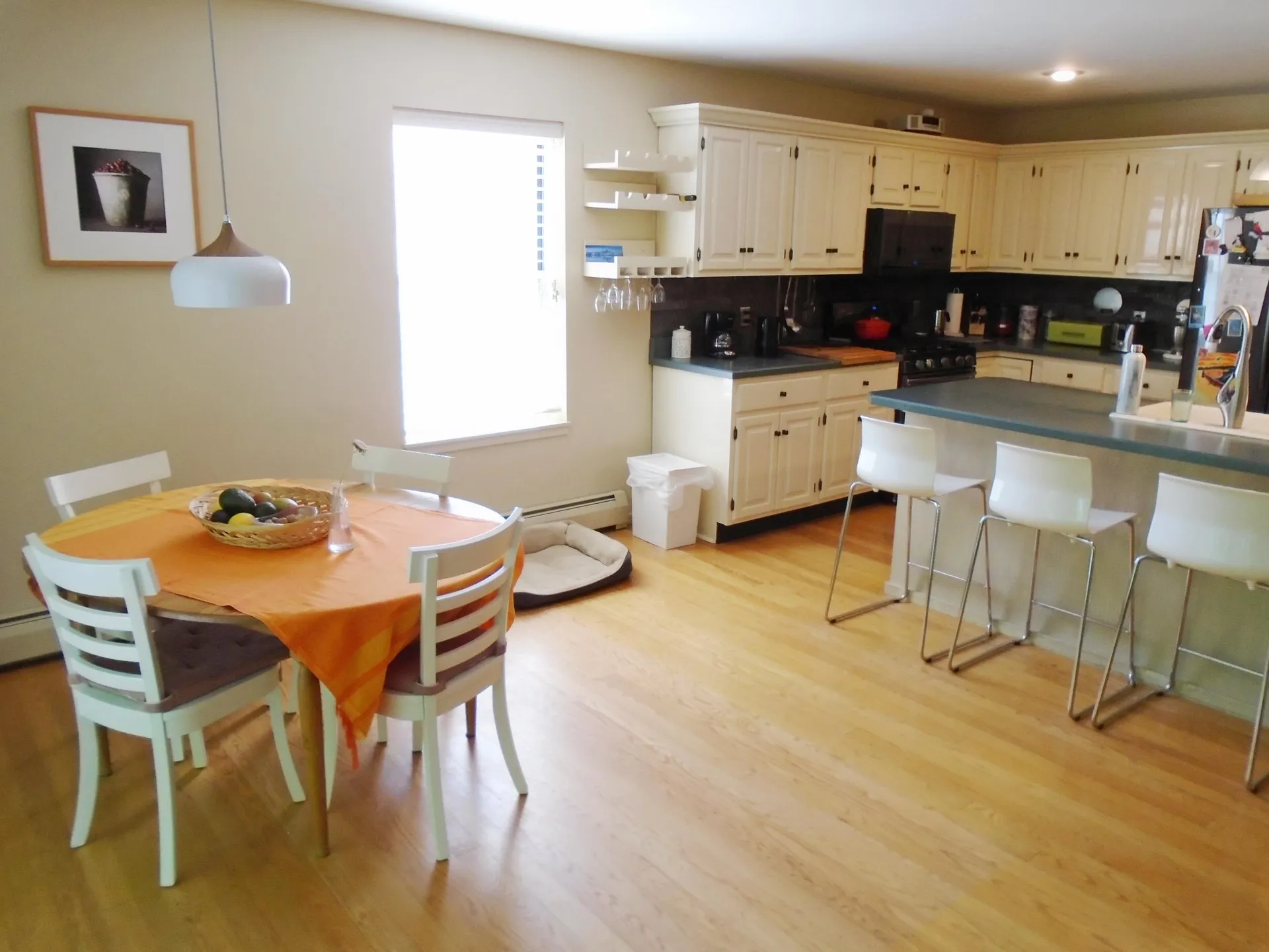 10 Blue Star Lane South Burlington VT 05403