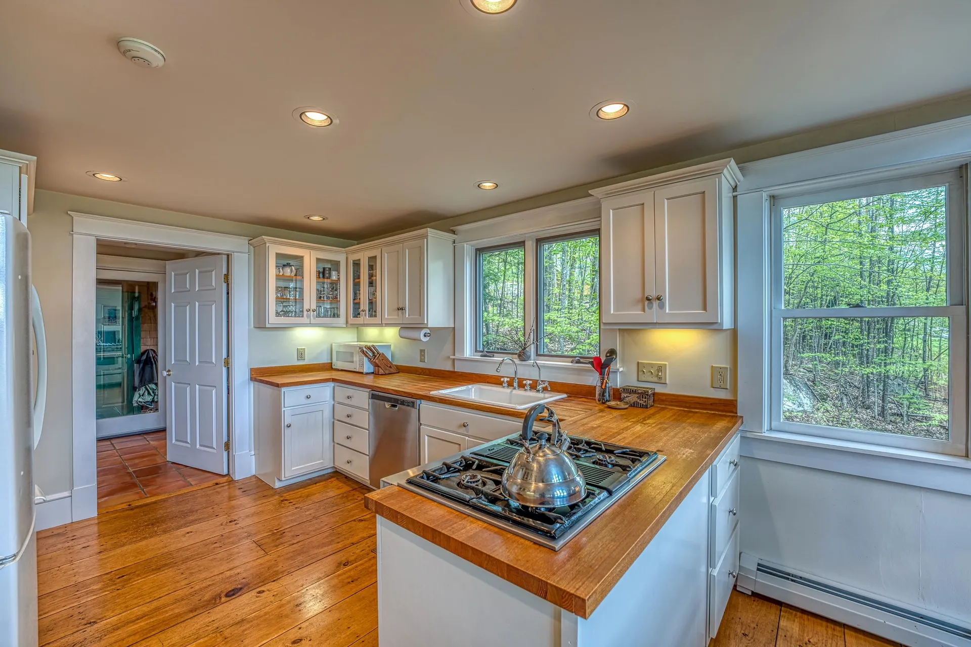 56 Panorama Lane Hebron NH 03241
