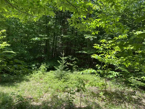 14 Fuller Hill Road Whitingham VT 05361