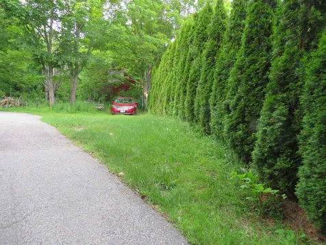 45 Elm Street Wolfeboro NH 03894