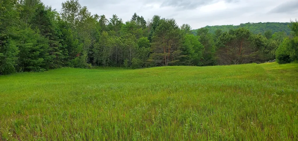 160 Bear Ridge Road Burke VT 05871
