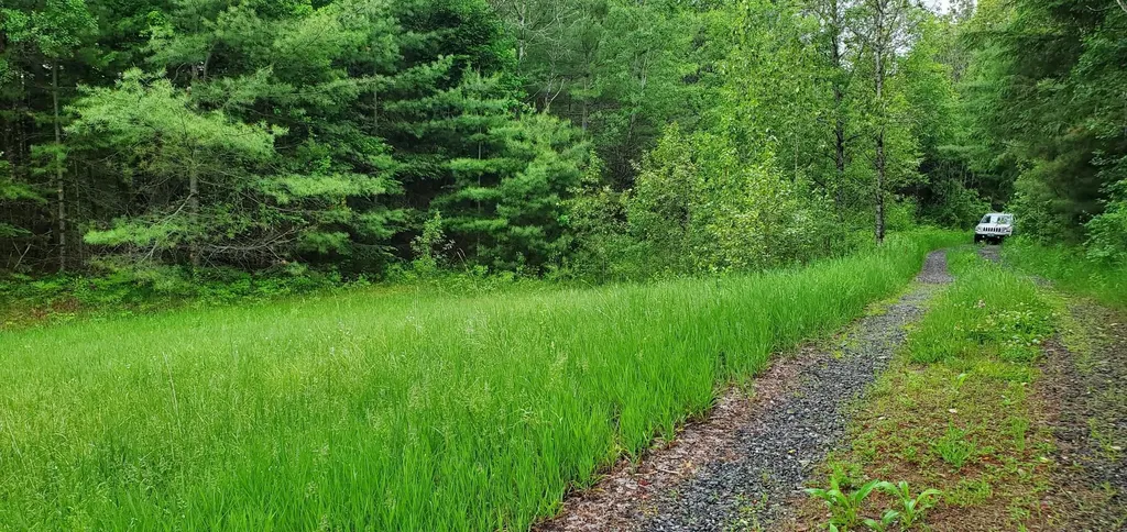 160 Bear Ridge Road Burke VT 05871