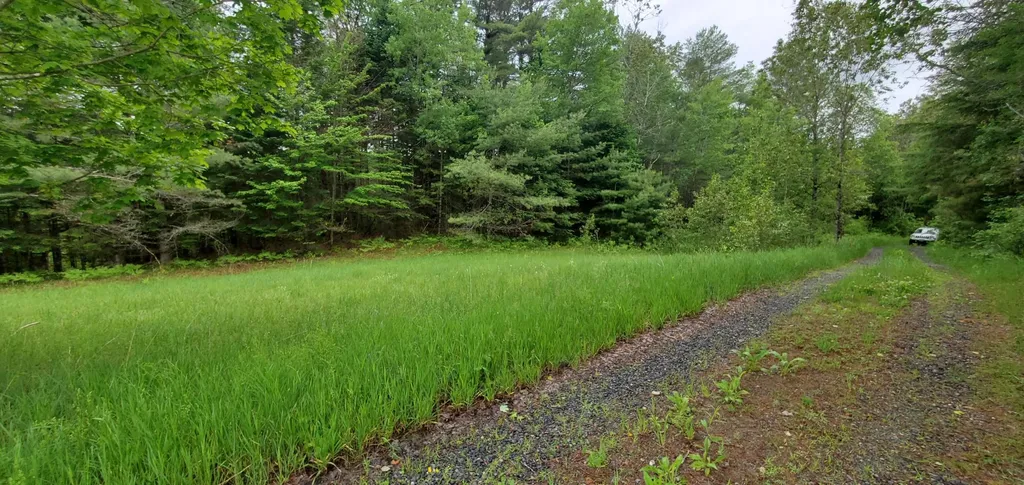 160 Bear Ridge Road Burke VT 05871