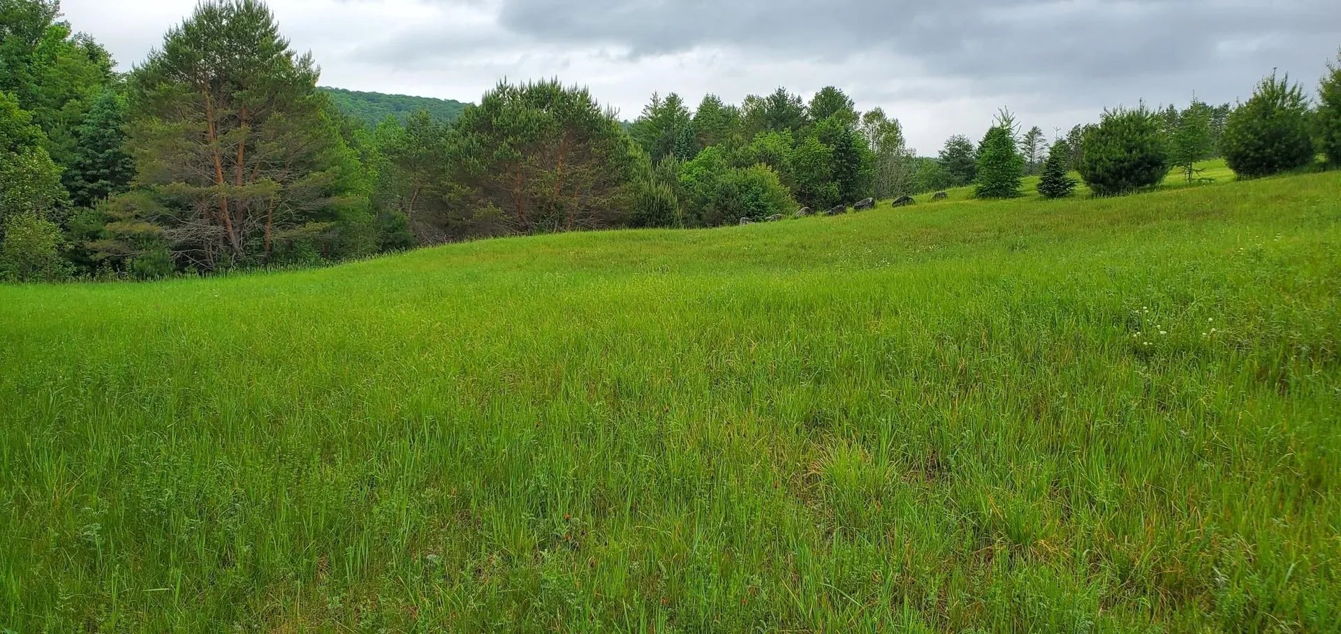 160 Bear Ridge Road Burke VT 05871