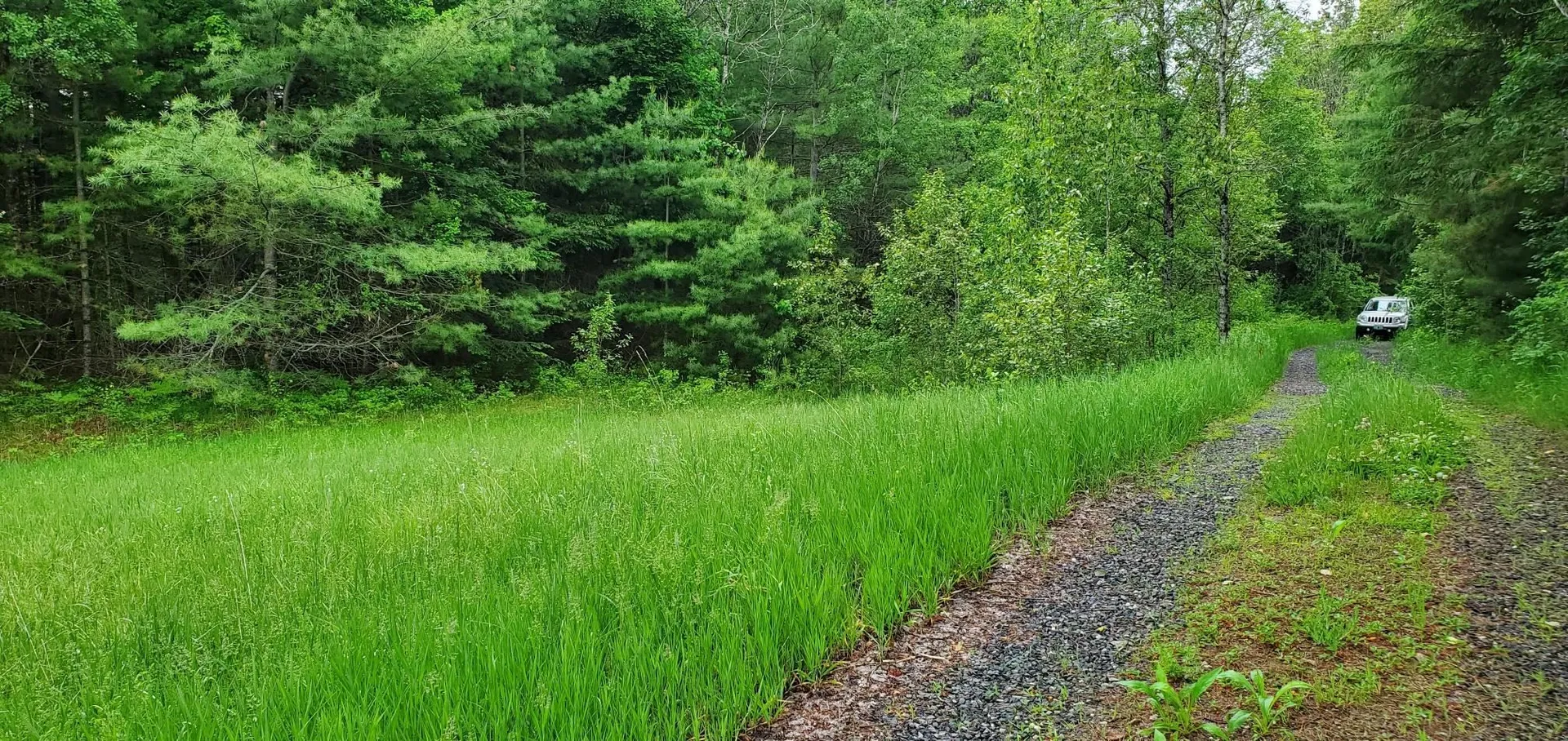 160 Bear Ridge Road Burke VT 05871