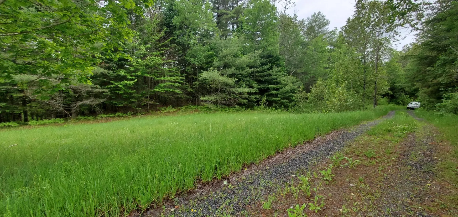 160 Bear Ridge Road Burke VT 05871