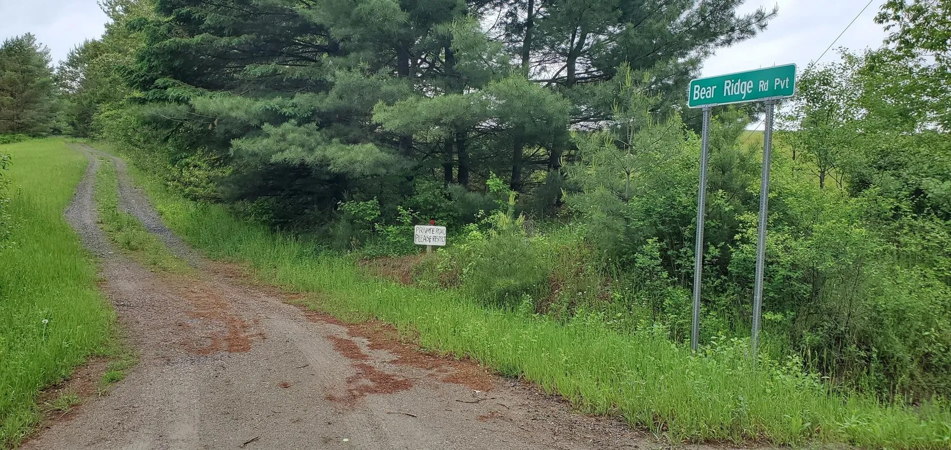 160 Bear Ridge Road Burke VT 05871