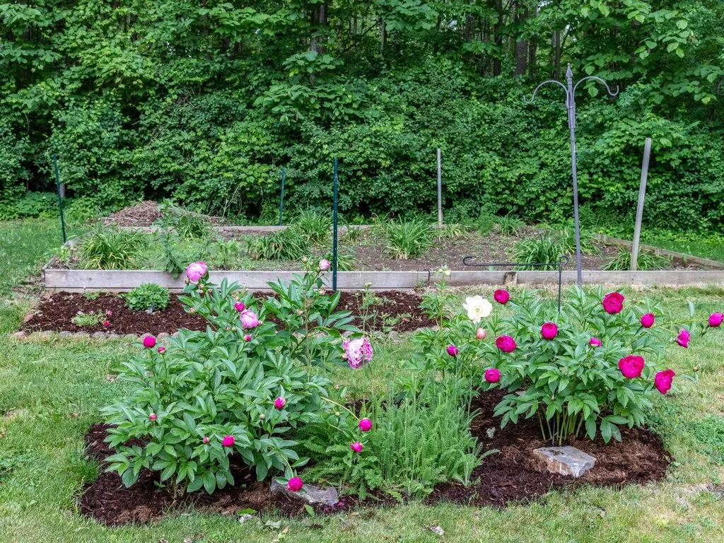 724 Delong Lane Shoreham VT 05770