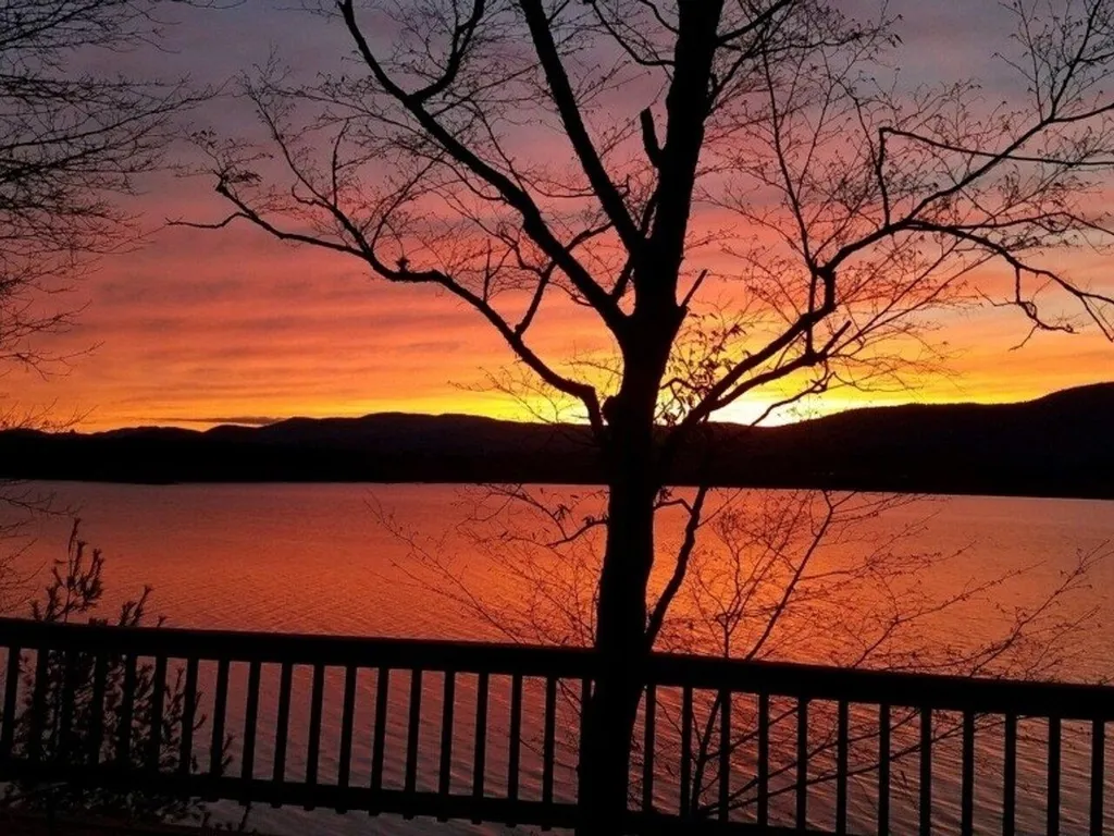 724 Delong Lane Shoreham VT 05770