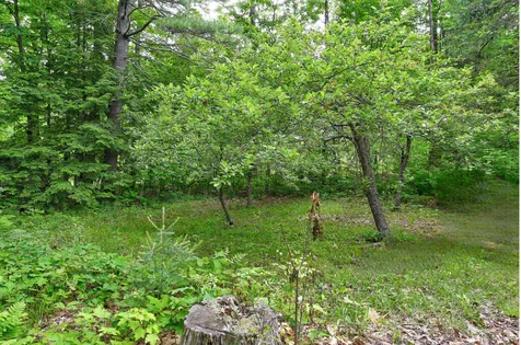 1661 Brownfield Road Conway NH 03813