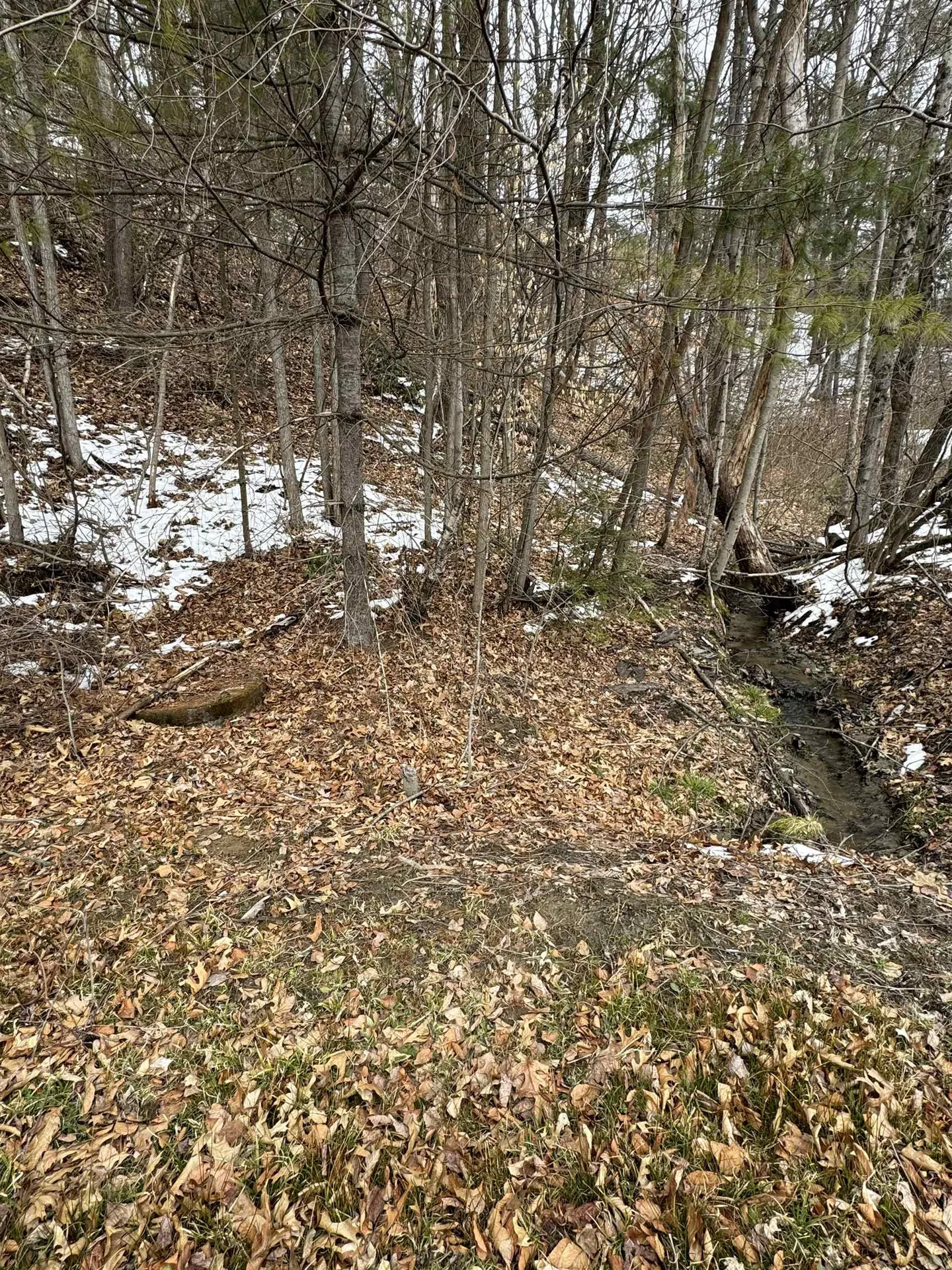 290 Brattleboro Road Hinsdale NH 03451