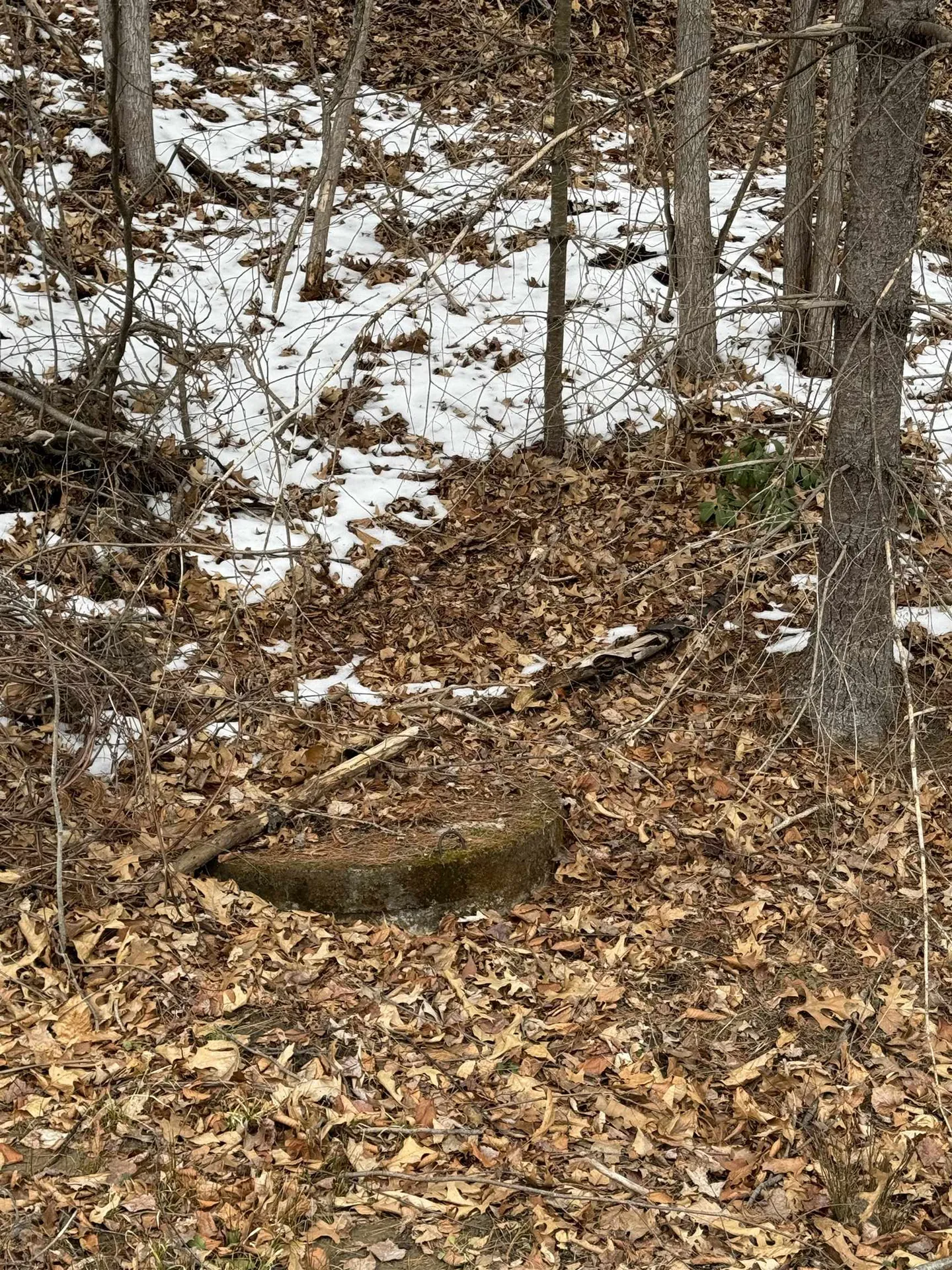 290 Brattleboro Road Hinsdale NH 03451