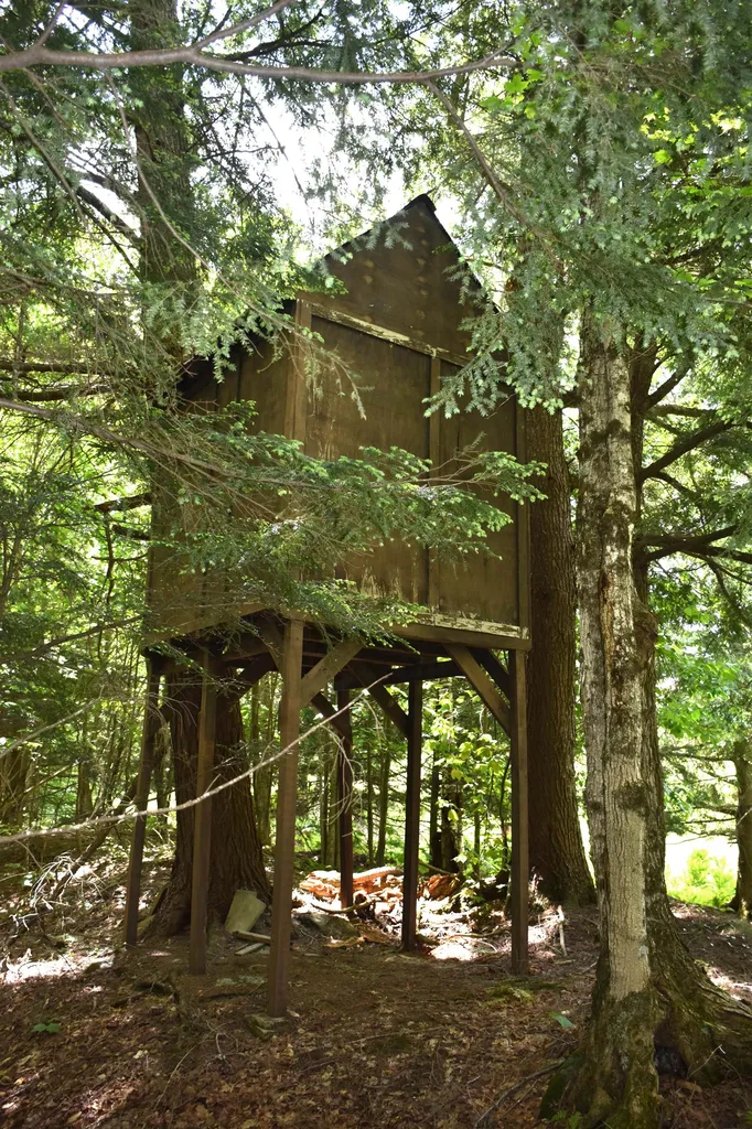 29 Davy Road Middlesex VT 05602