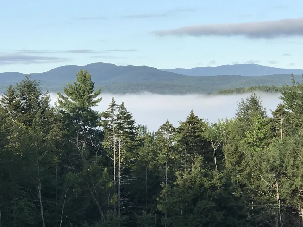 29 Davy Road Middlesex VT 05602