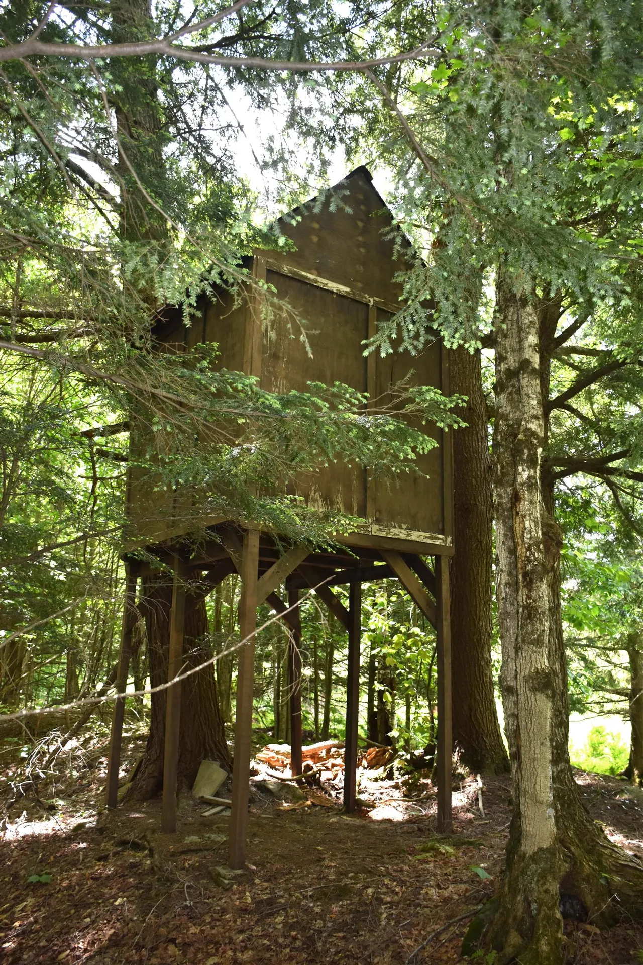 29 Davy Road Middlesex VT 05602