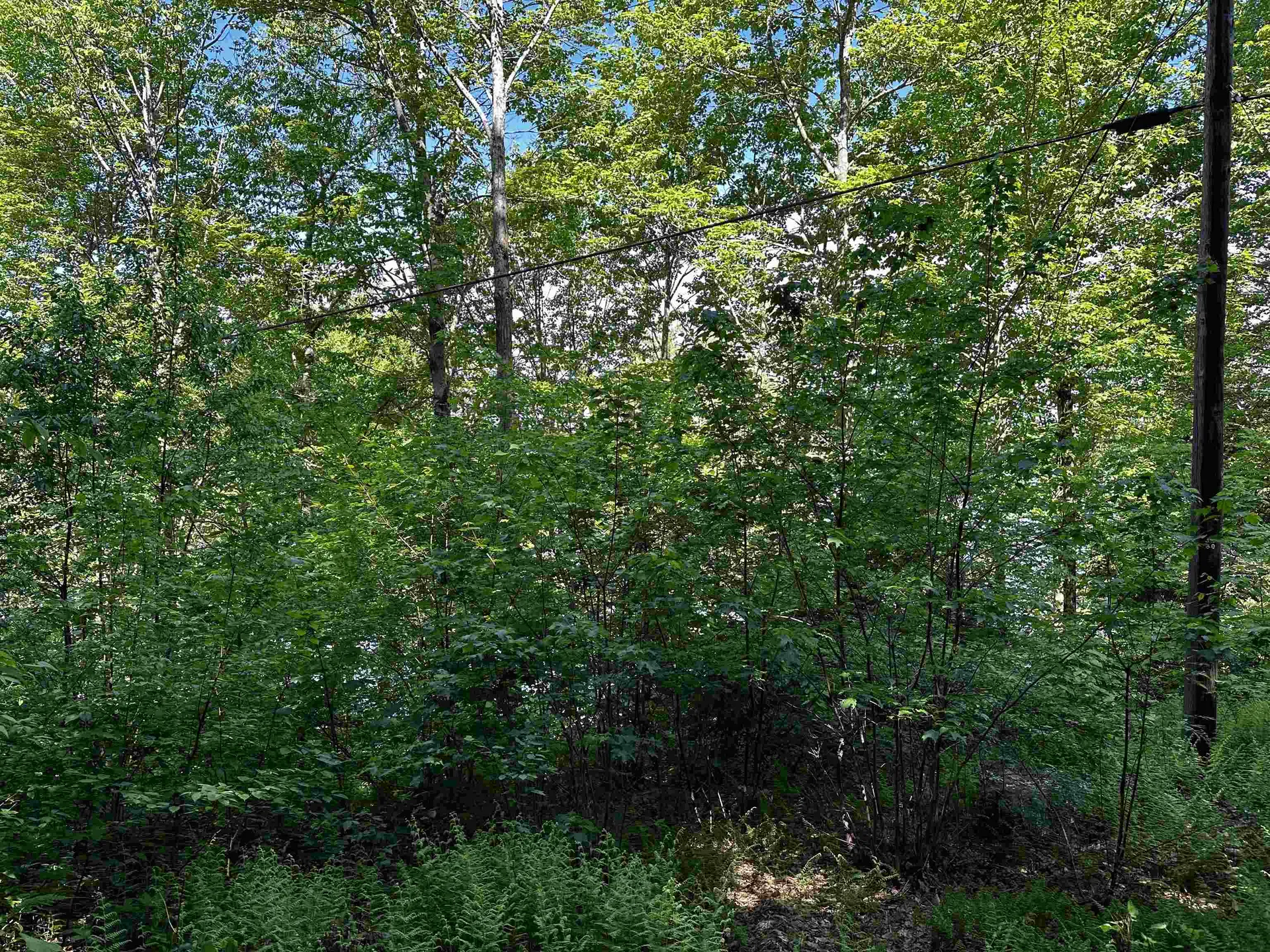 166 Ashuelot Pond Road Washington NH 03280