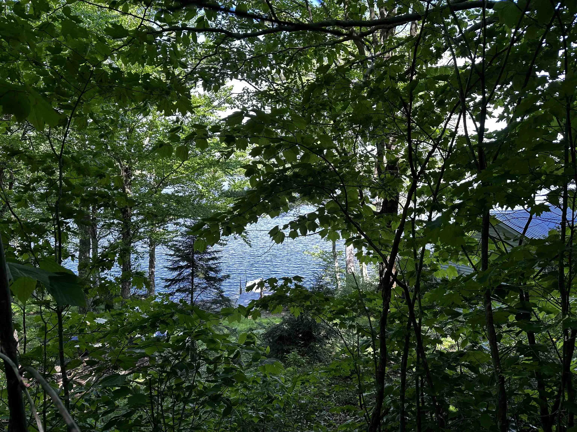 166 Ashuelot Pond Road Washington NH 03280